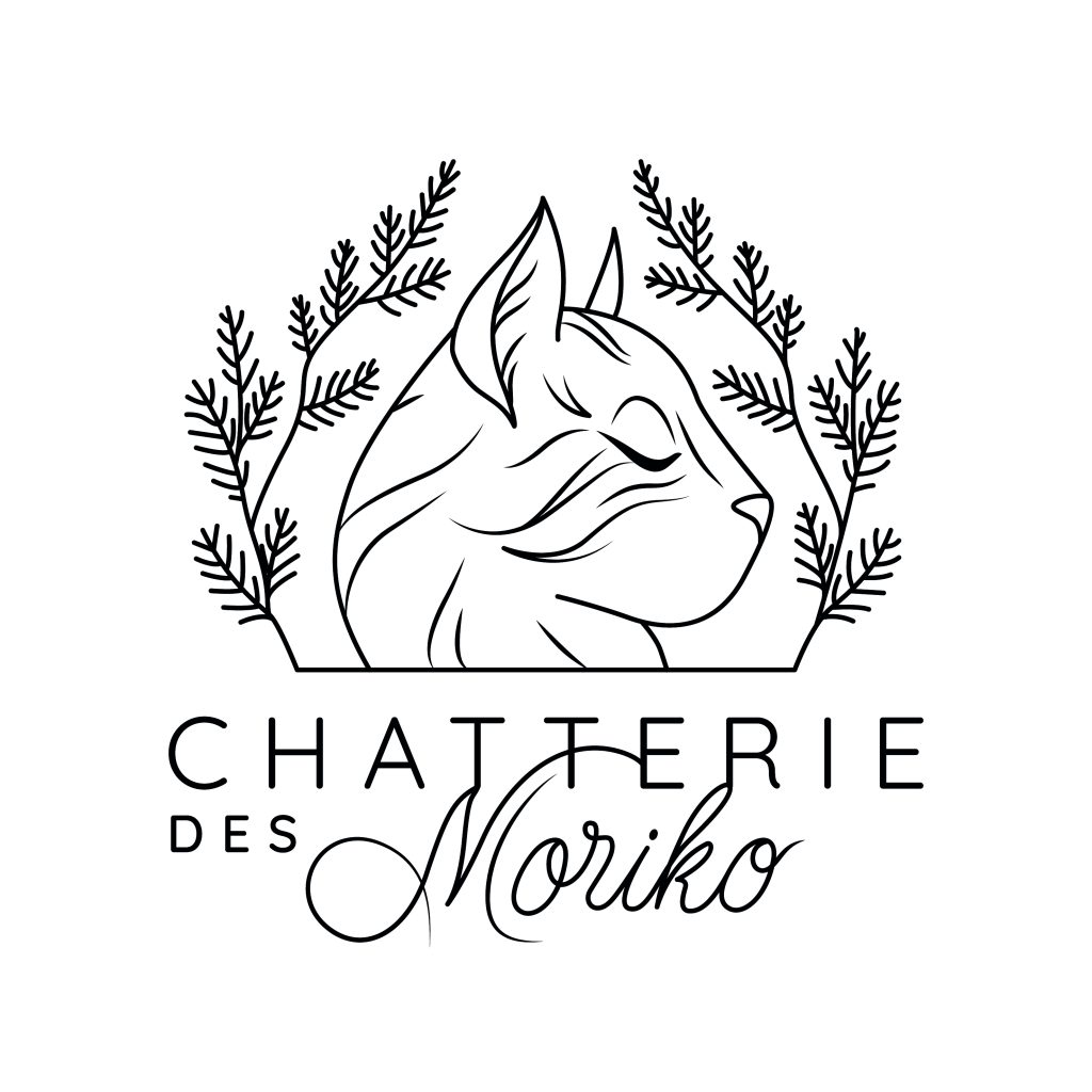 Chatterie des Moriko